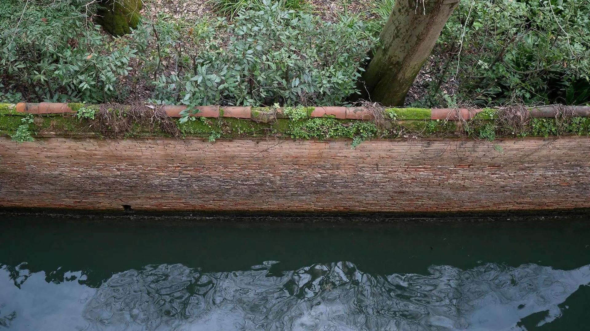Stupendo Luxury Apartment Canal & Garden View Venise Italie
